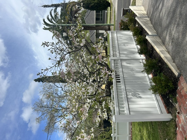 White picket fence and landscaped front garden